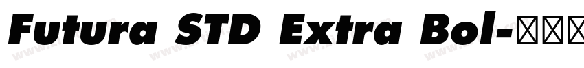 Futura STD Extra Bol字体转换